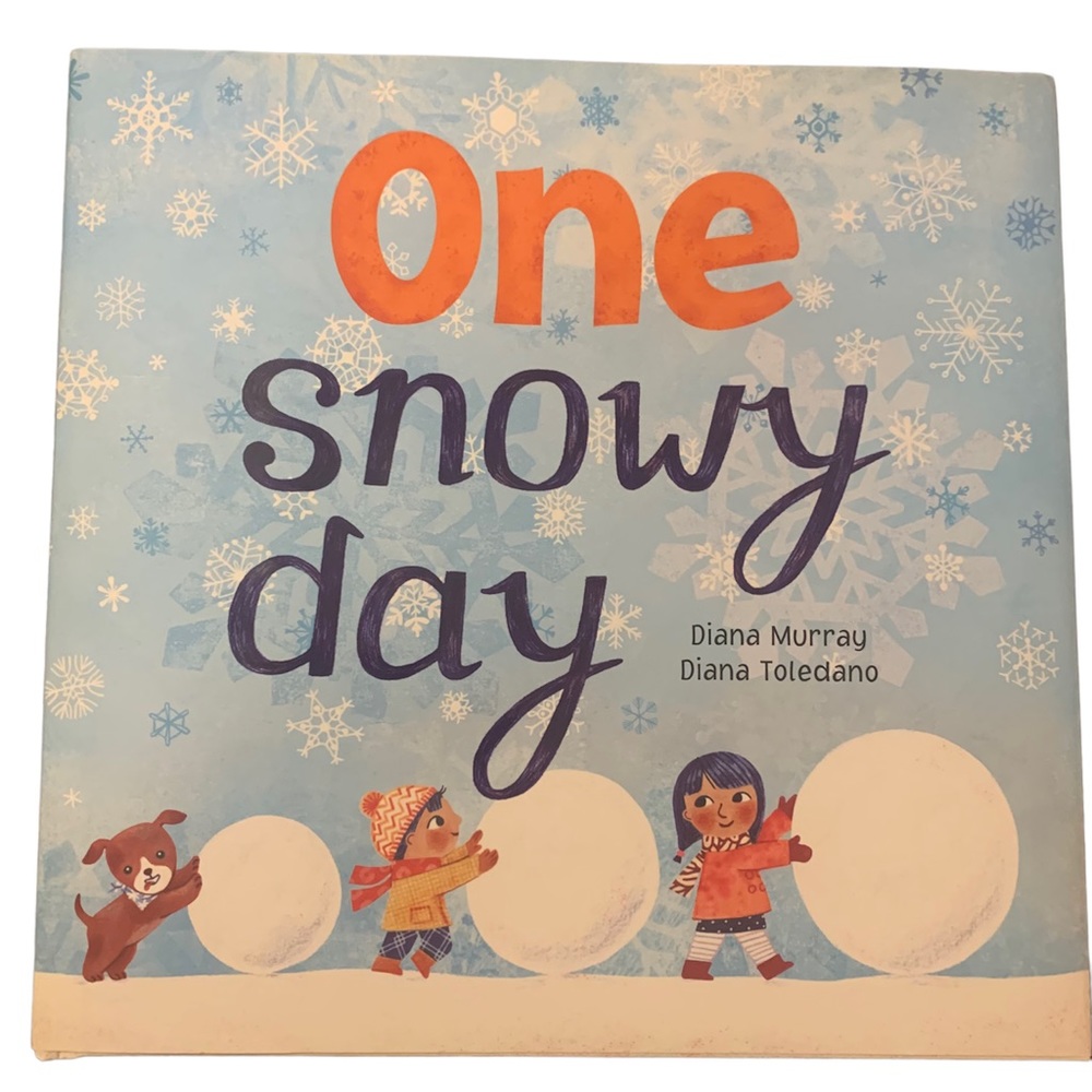 One Snowy Day Book